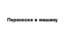 Переноска в машину